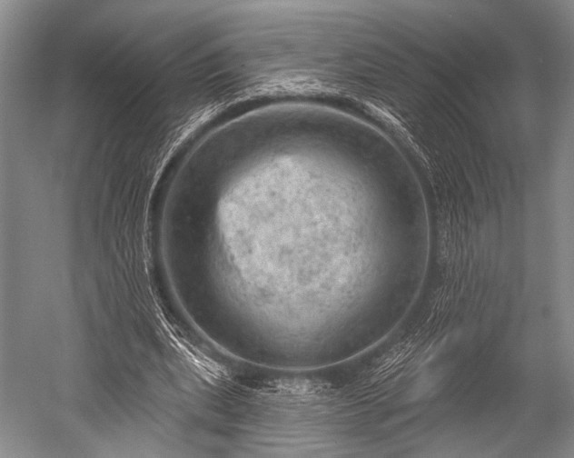 X0000052570439200507081706