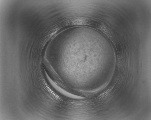 X0000052570441200507081706