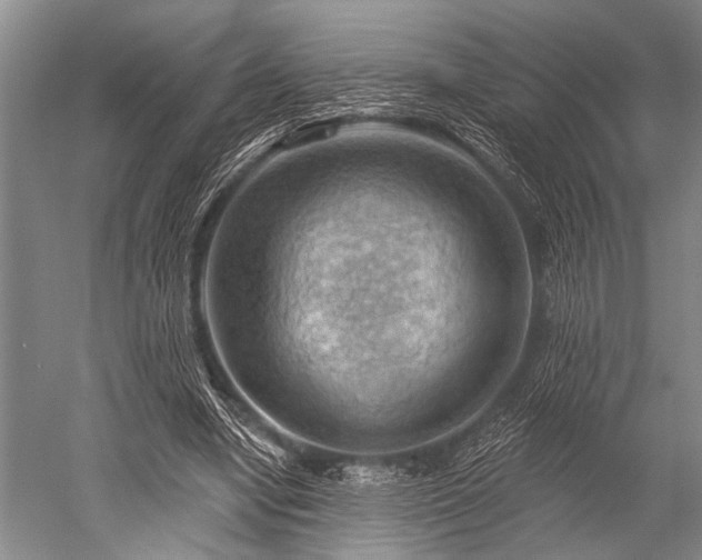 X0000052570442200507081706