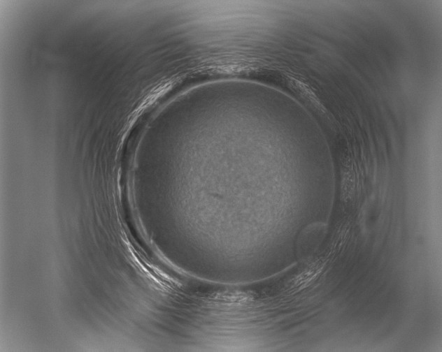 X0000052570443200507081706