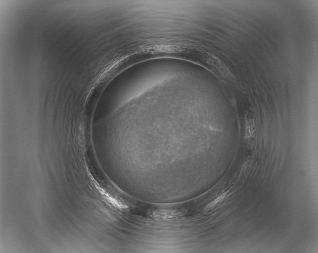 X0000052570444200507081706