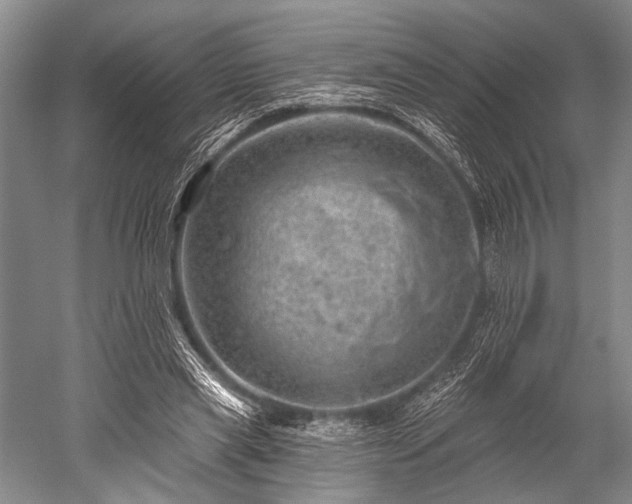 X0000052570445200507081706