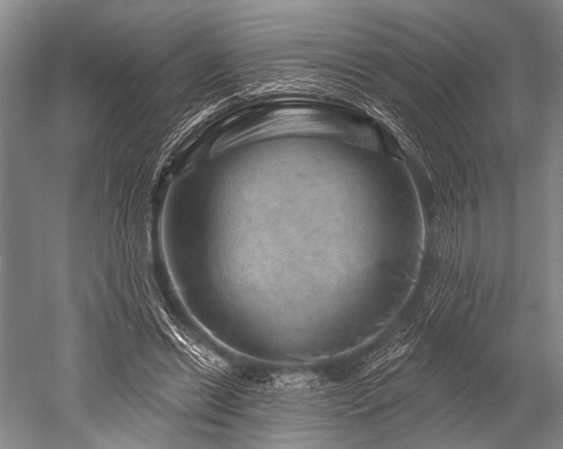 X0000052570446200507081706