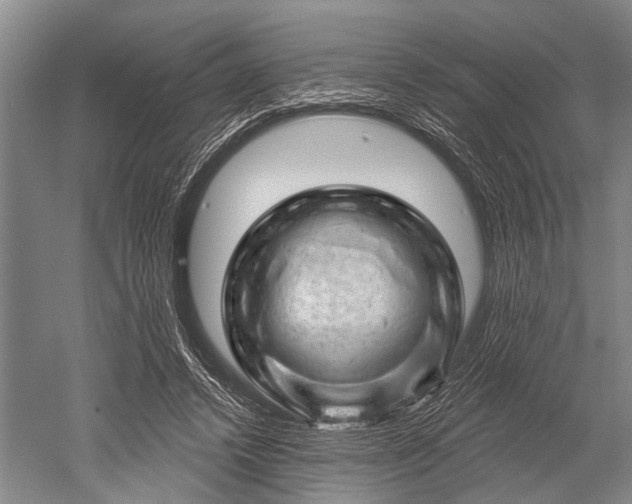 X0000052570448200507081706