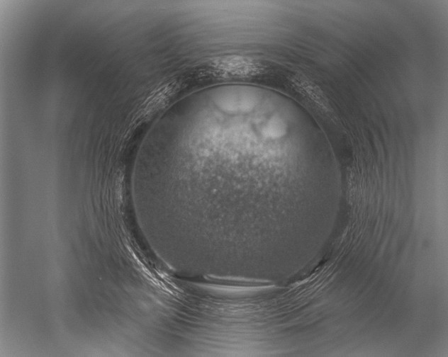 X0000052570451200507081706