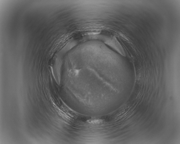 X0000052570452200507081706