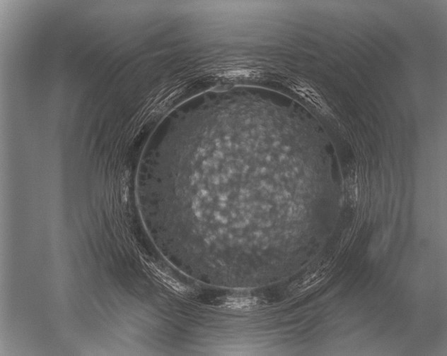 X0000052570458200507081706