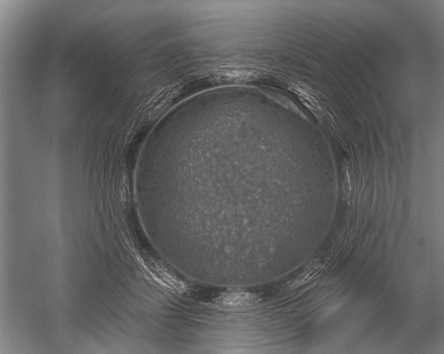 X0000052570459200507081706