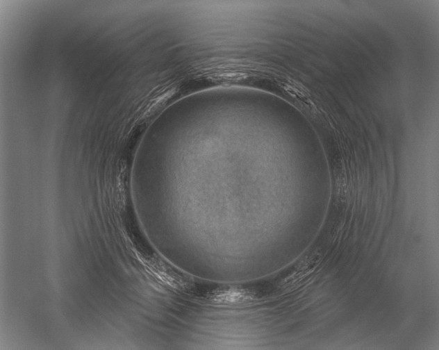 X0000052570460200507081706