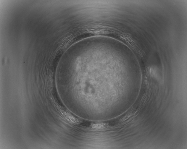 X0000052570461200507081706