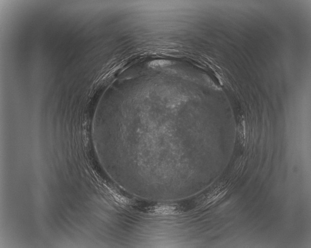 X0000052570462200507081706