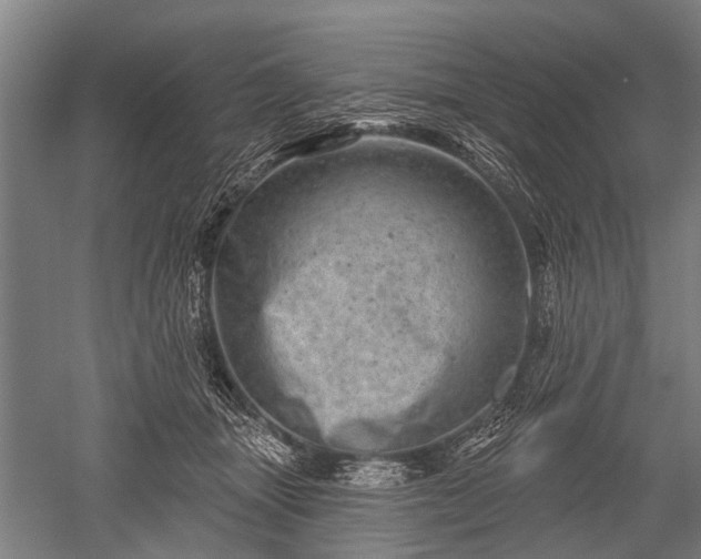 X0000052570463200507081706