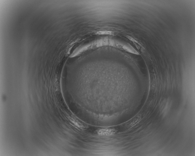 X0000052570465200507081706