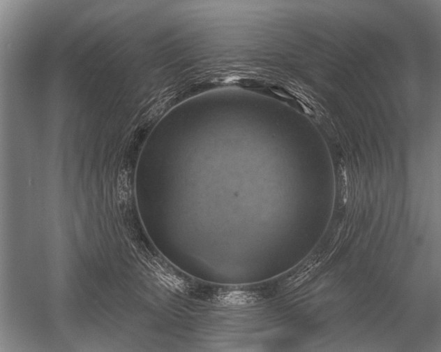 X0000052570467200507081706