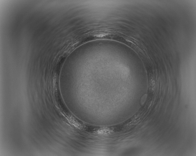 X0000052570468200507081706