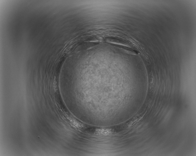 X0000052570469200507081706