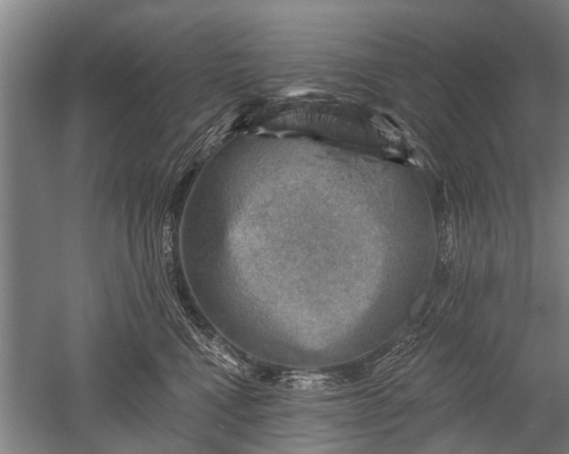 X0000052570472200507081706