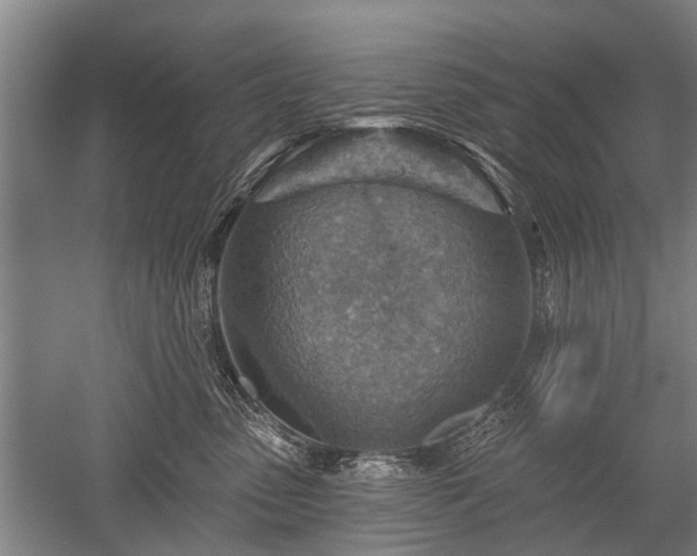 X0000052570475200507081706