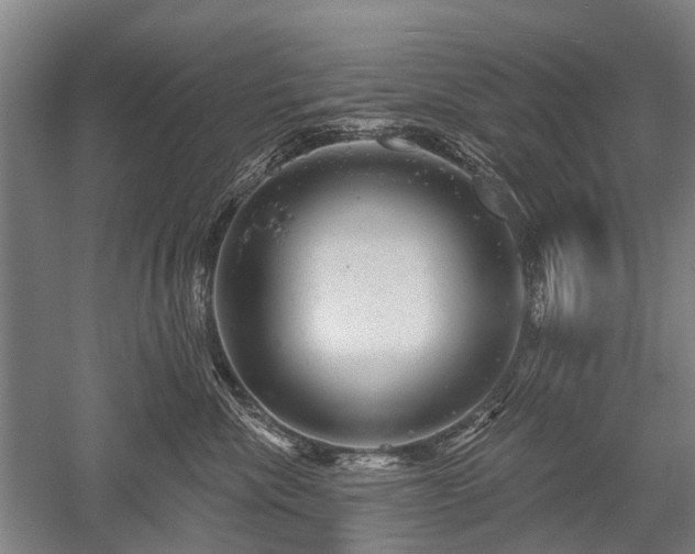 X0000052570476200507081706