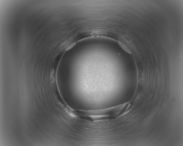 X0000052570478200507081706