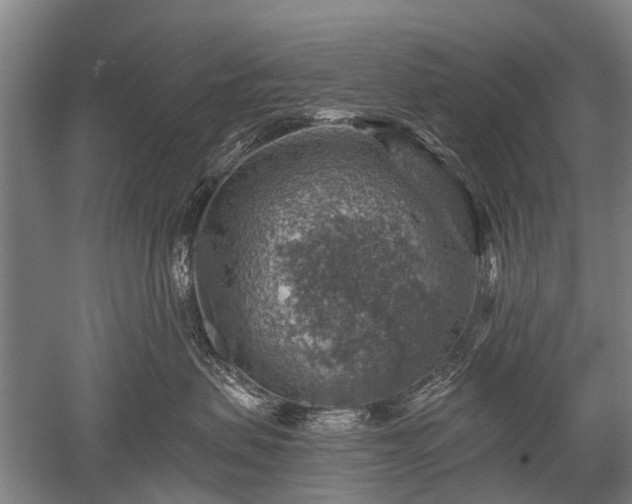 X0000052570479200507081706