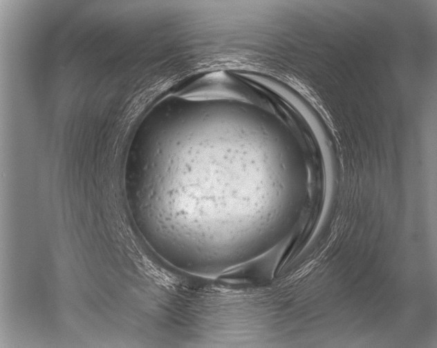 X0000052570481200507081706