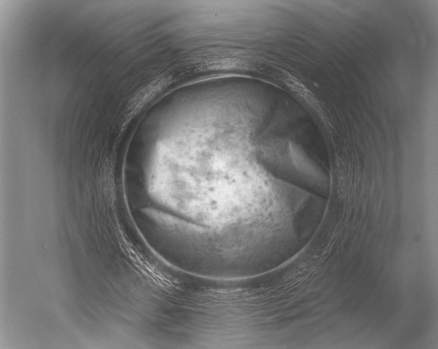 X0000052570482200507081706