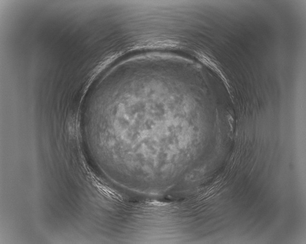 X0000052570483200507081706