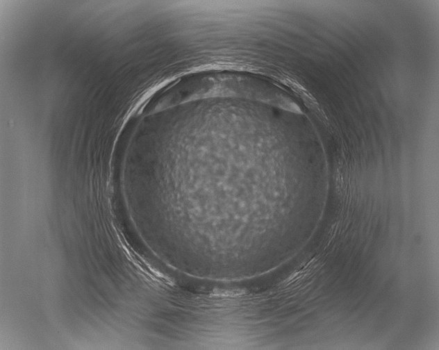 X0000052570484200507081705