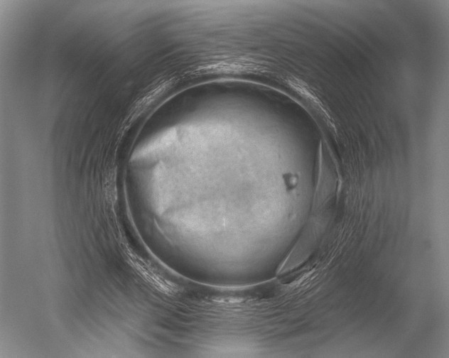 X0000052570486200507081705