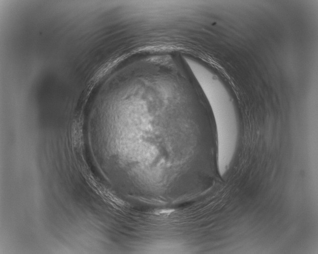 X0000052570487200507081705