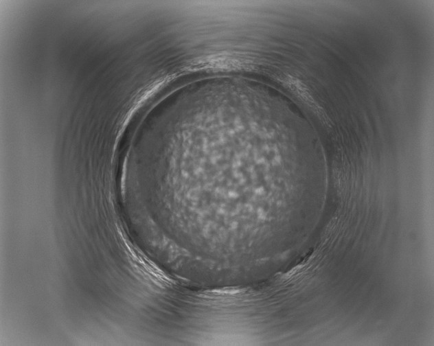 X0000052570488200507081705