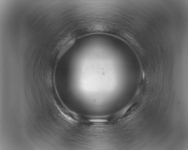 X0000052570489200507081705