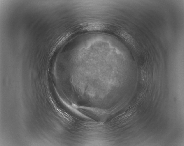 X0000052570491200507081705