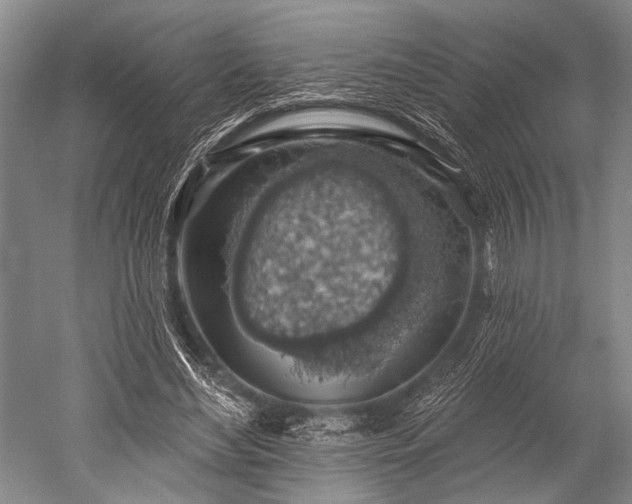 X0000052570492200507081705