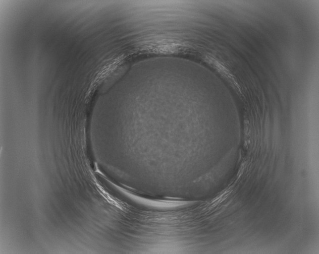 X0000052570493200507081705