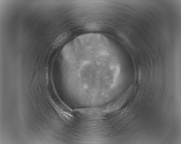 X0000052570494200507081705