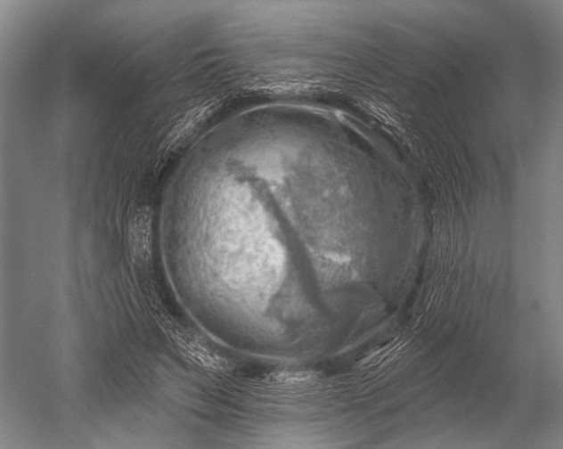 X0000052570495200507081705