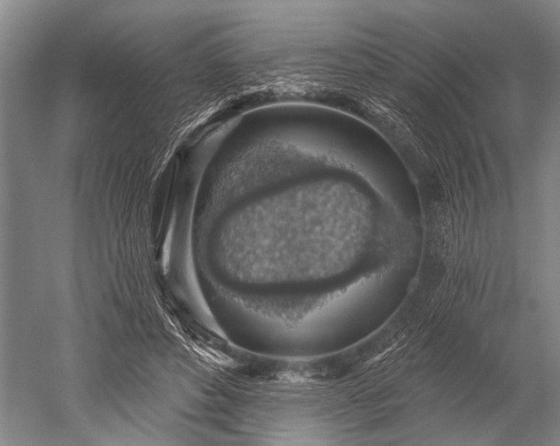 X0000052570496200507081705