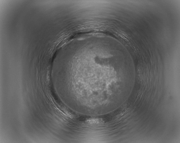 X0000052570499200507081705