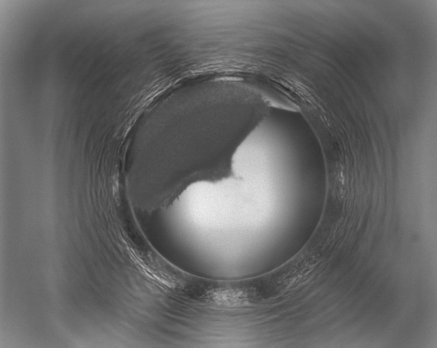 X0000052570500200507081705