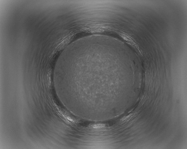 X0000052570501200507081705