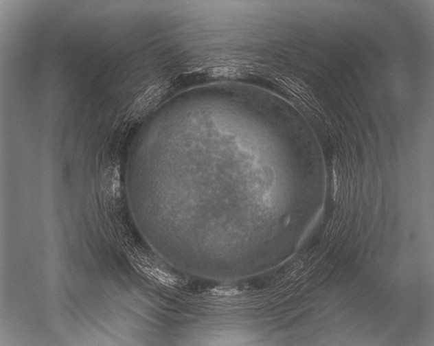 X0000052570502200507081705