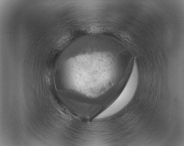 X0000052570503200507081705