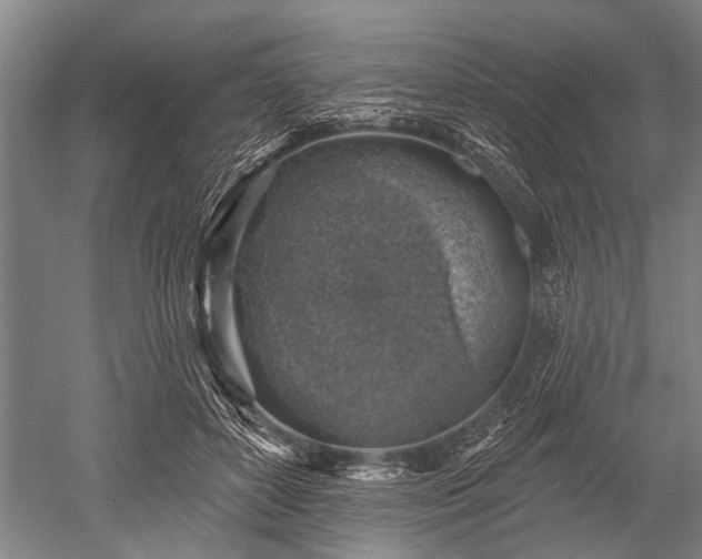 X0000052570504200507081705