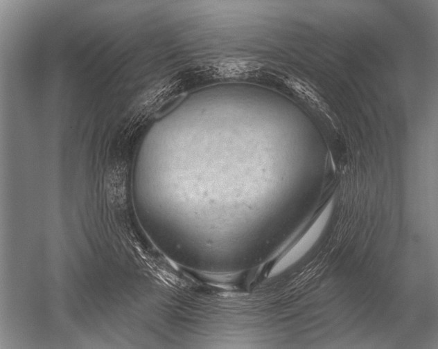 X0000052570505200507081705