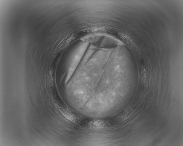 X0000052570506200507081705