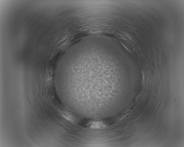 X0000052570507200507081705