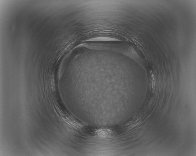 X0000052570508200507081705