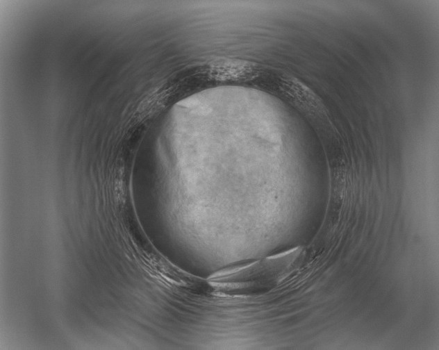 X0000052570510200507081705